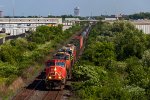 CN 5601